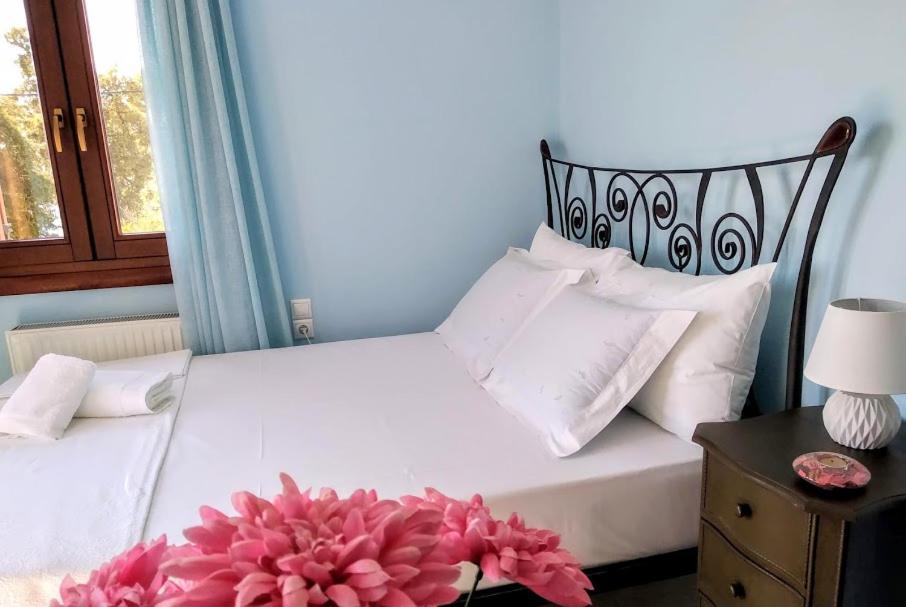 アフィソスPelion Seaside Luxury Houseアパートメント エクステリア 写真