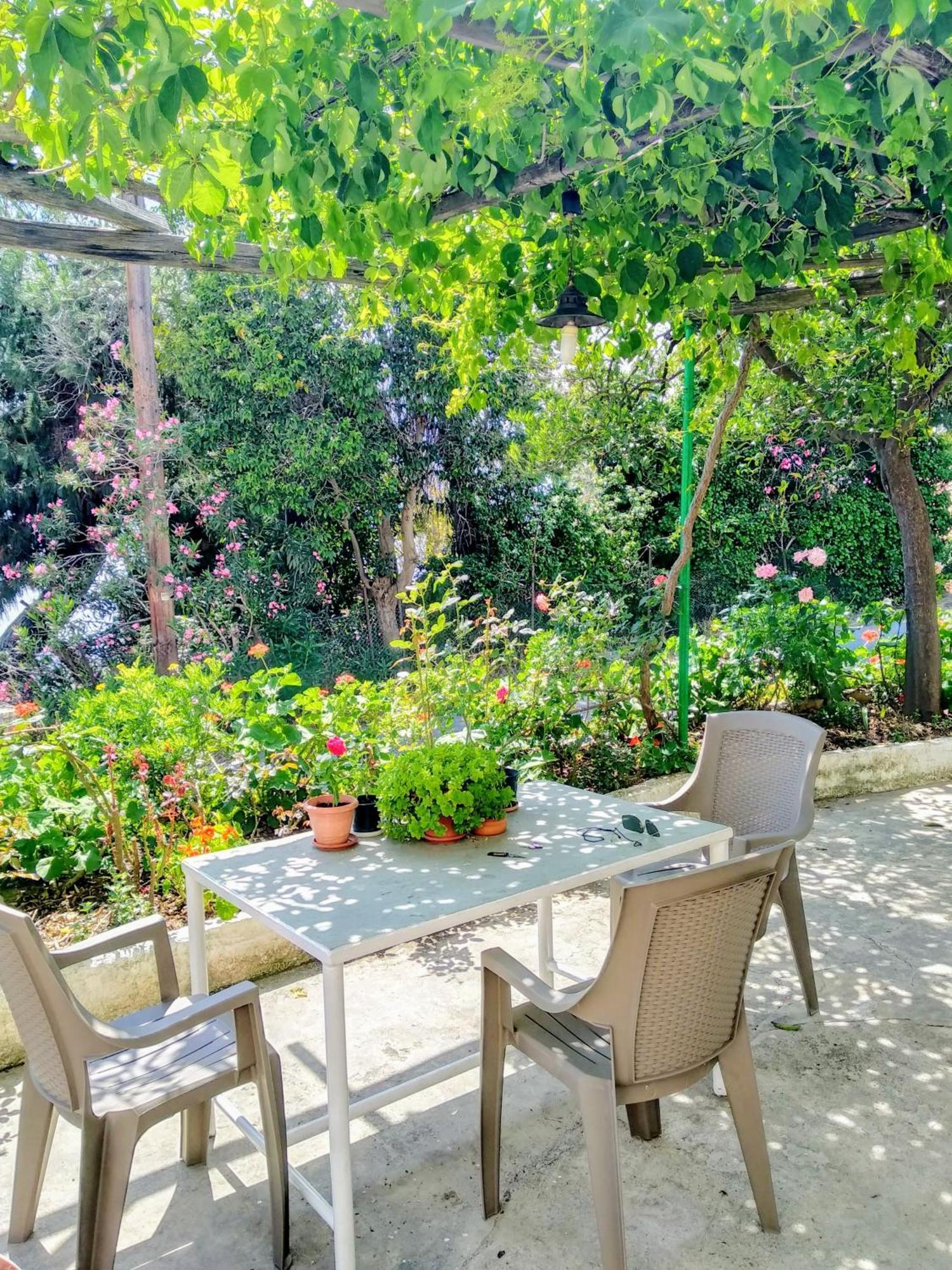 アフィソスPelion Seaside Luxury Houseアパートメント エクステリア 写真